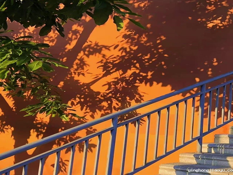图17.jpg